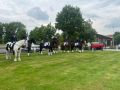 IMG-20250601-WA0134